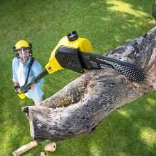 Best Soil Testing and Treatment  in Grandview Plaza, KS