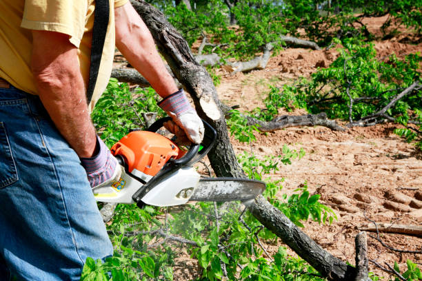 Best Lawn Grading and Leveling  in Grandview Plaza, KS